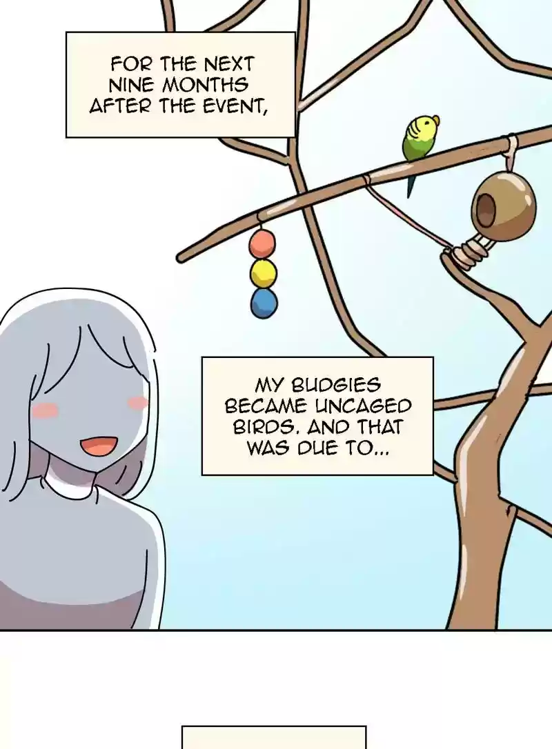 A Budgie's Life Chapter 320: Ep.319: