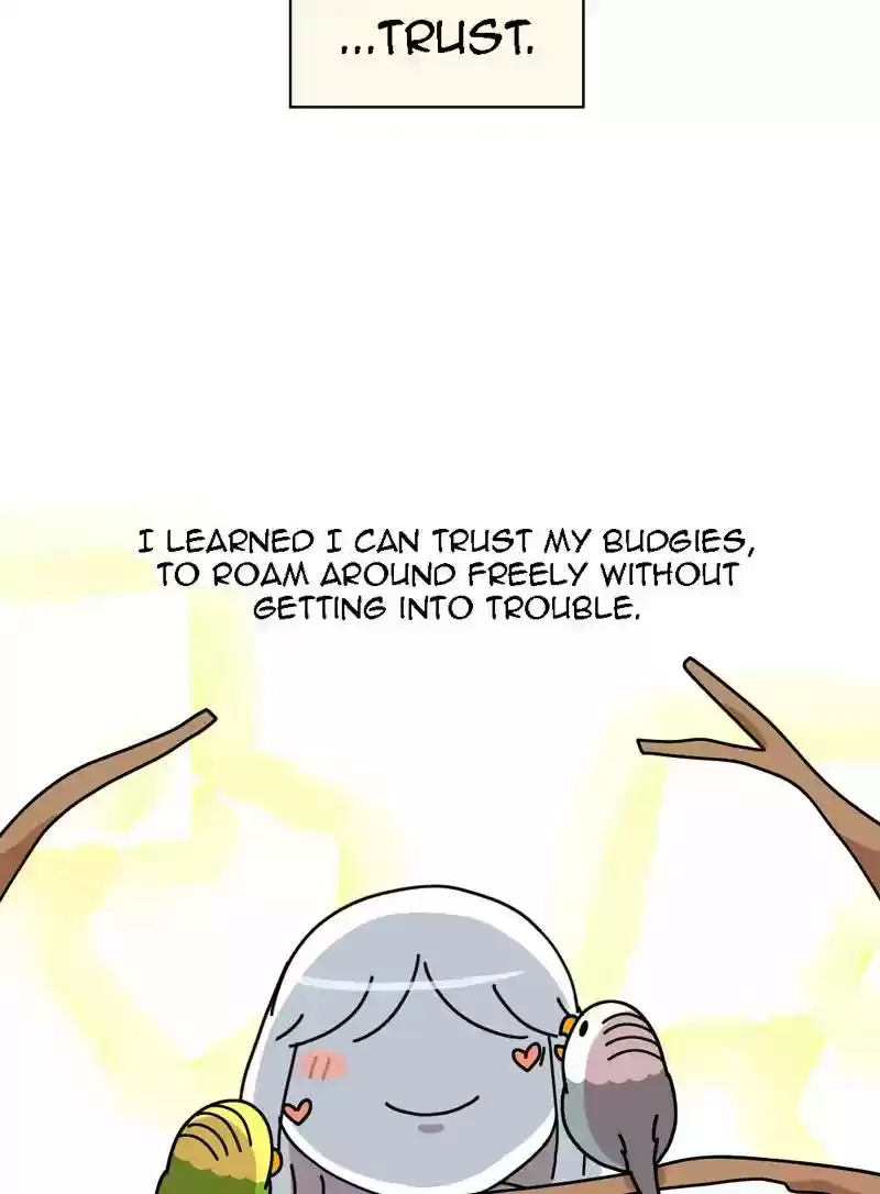 A Budgie's Life Chapter 320: Ep.319: