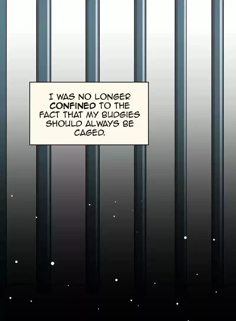A Budgie's Life Chapter 320: Ep.319: