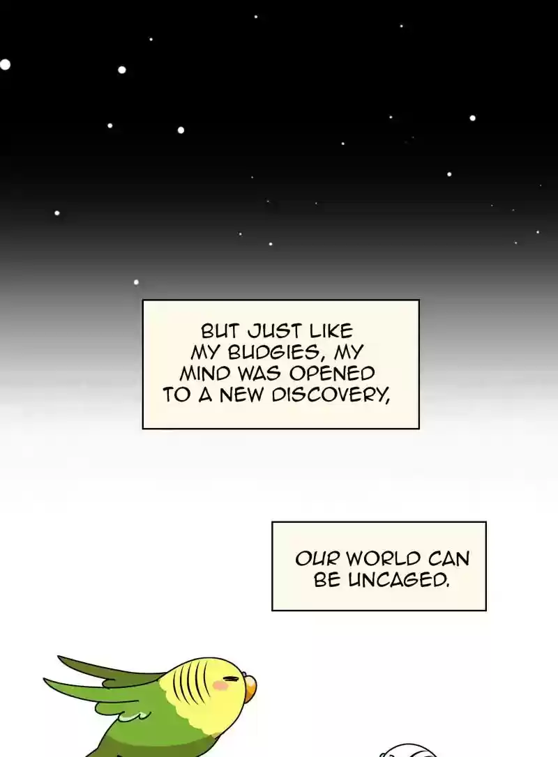 A Budgie's Life Chapter 320: Ep.319: