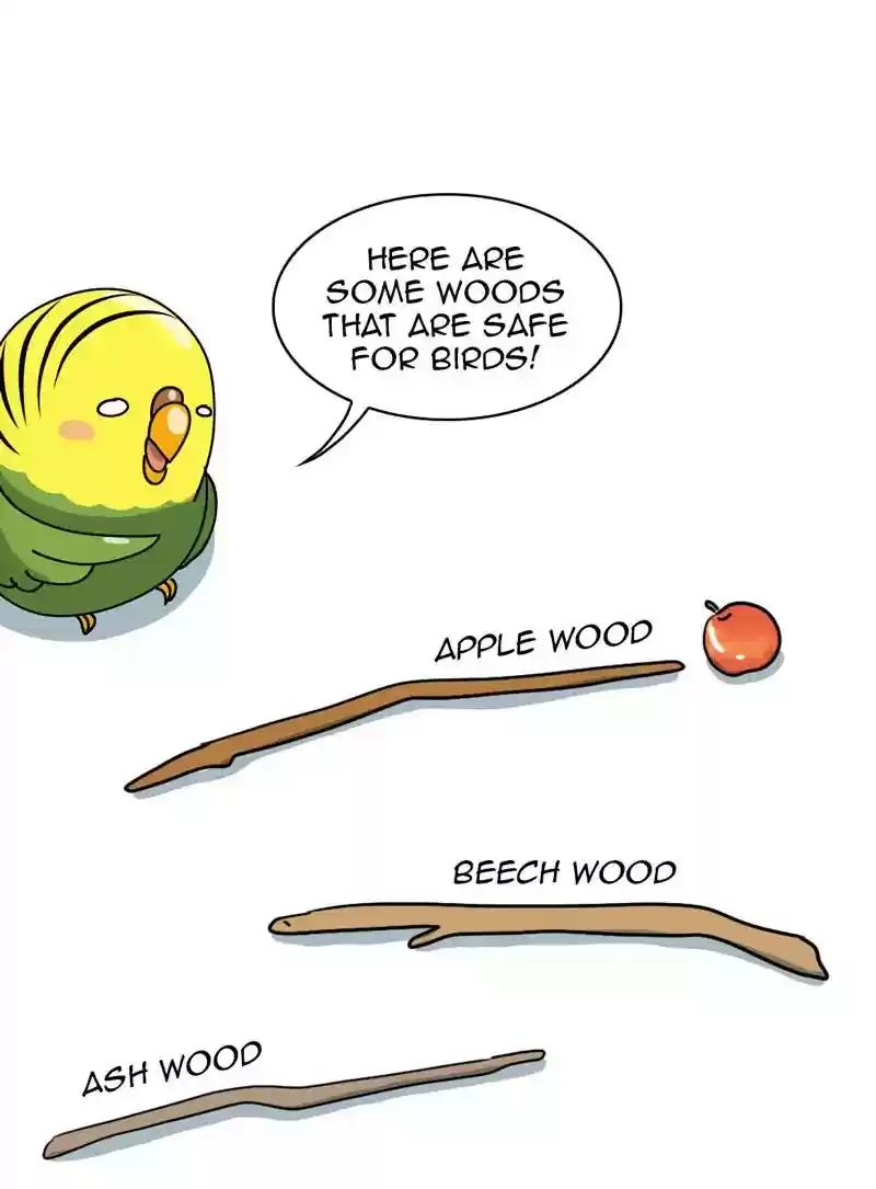 A Budgie's Life Chapter 320: Ep.319: