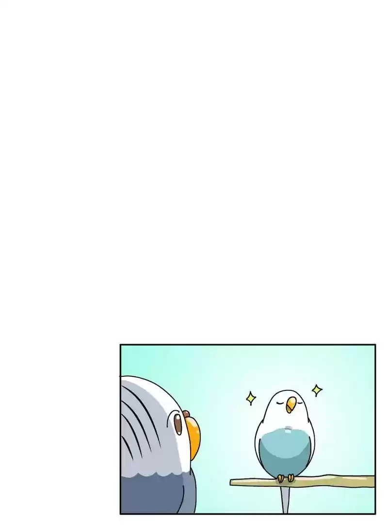 A Budgie's Life Chapter 322: Ep.321: