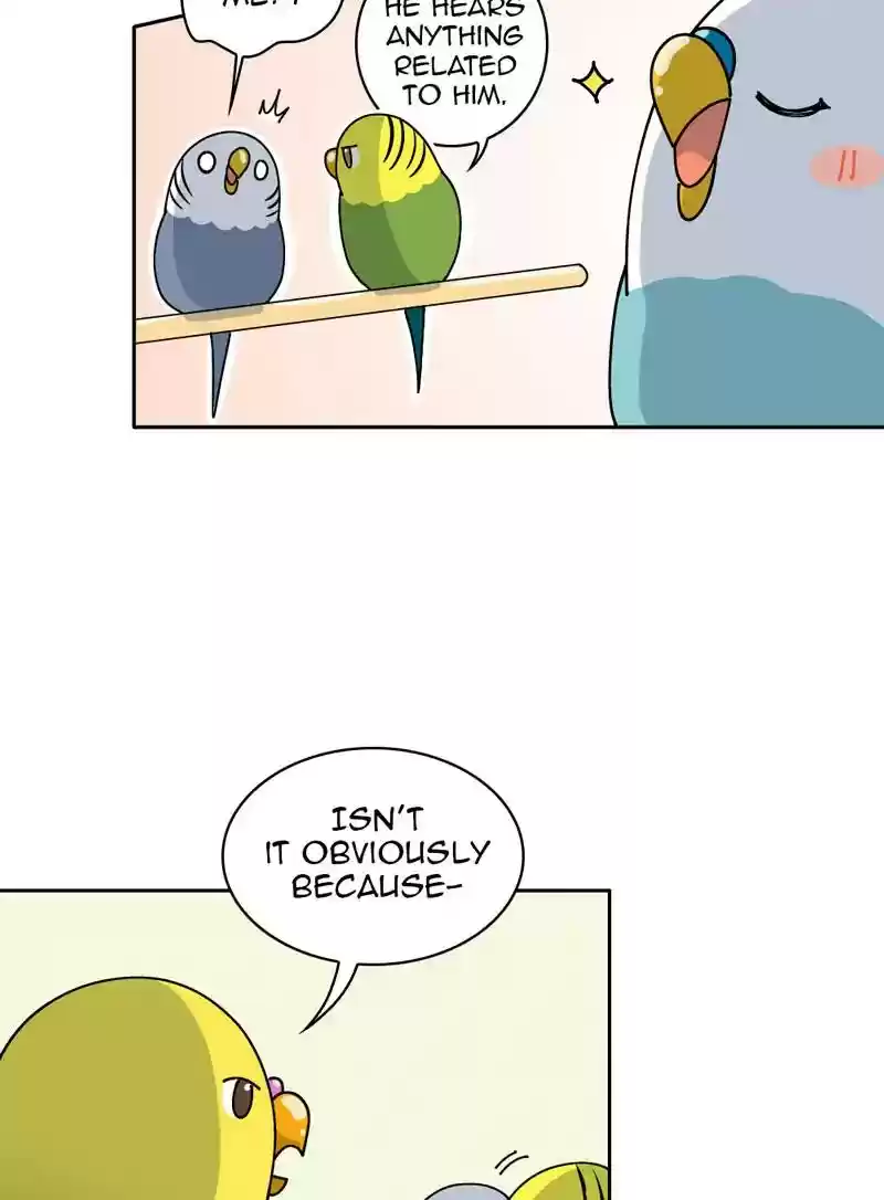 A Budgie's Life Chapter 322: Ep.321: