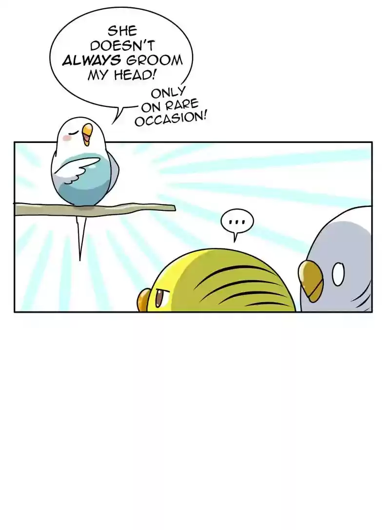 A Budgie's Life Chapter 322: Ep.321: