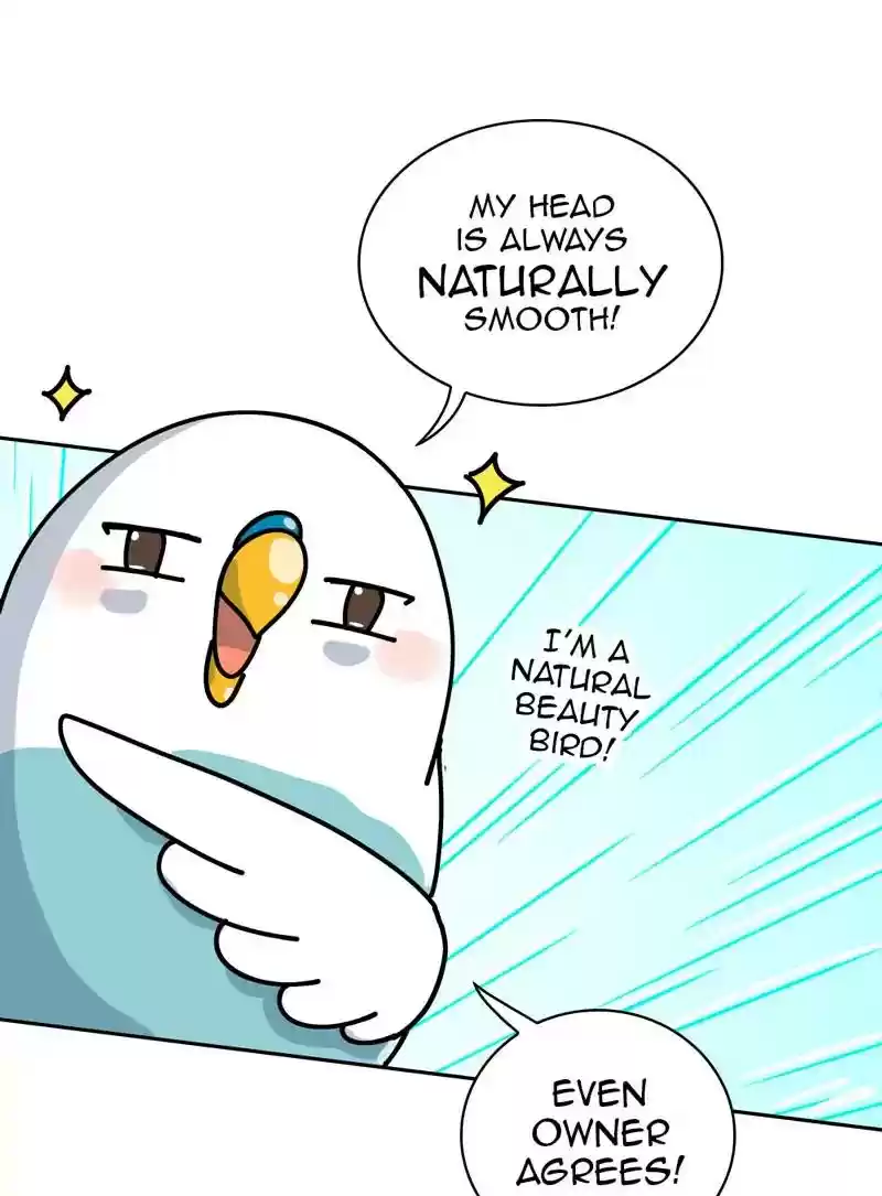 A Budgie's Life Chapter 322: Ep.321: