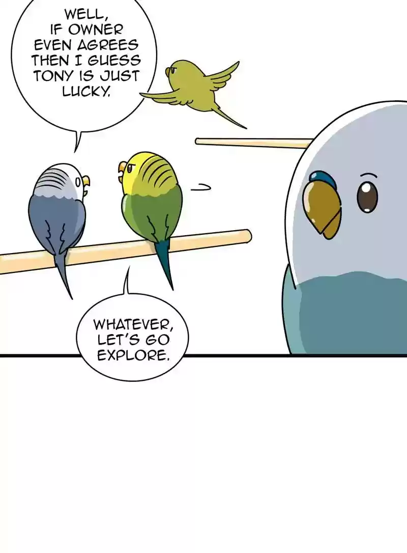 A Budgie's Life Chapter 322: Ep.321: