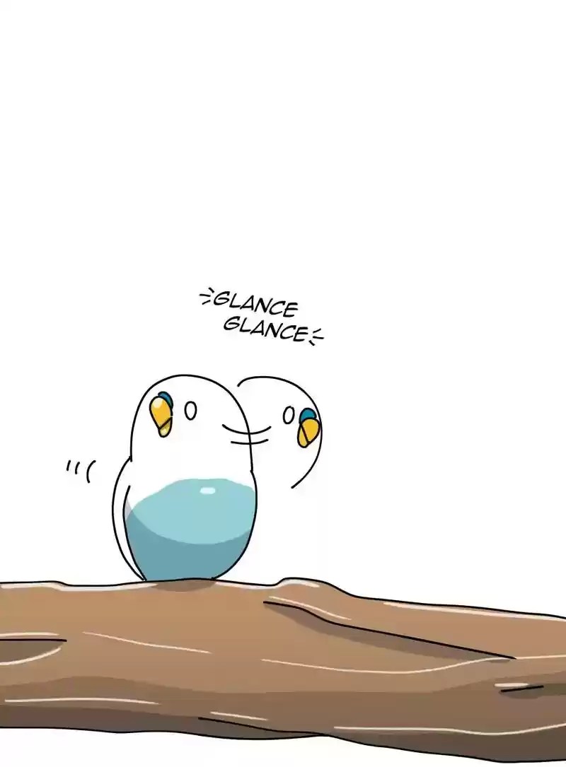 A Budgie's Life Chapter 322: Ep.321: