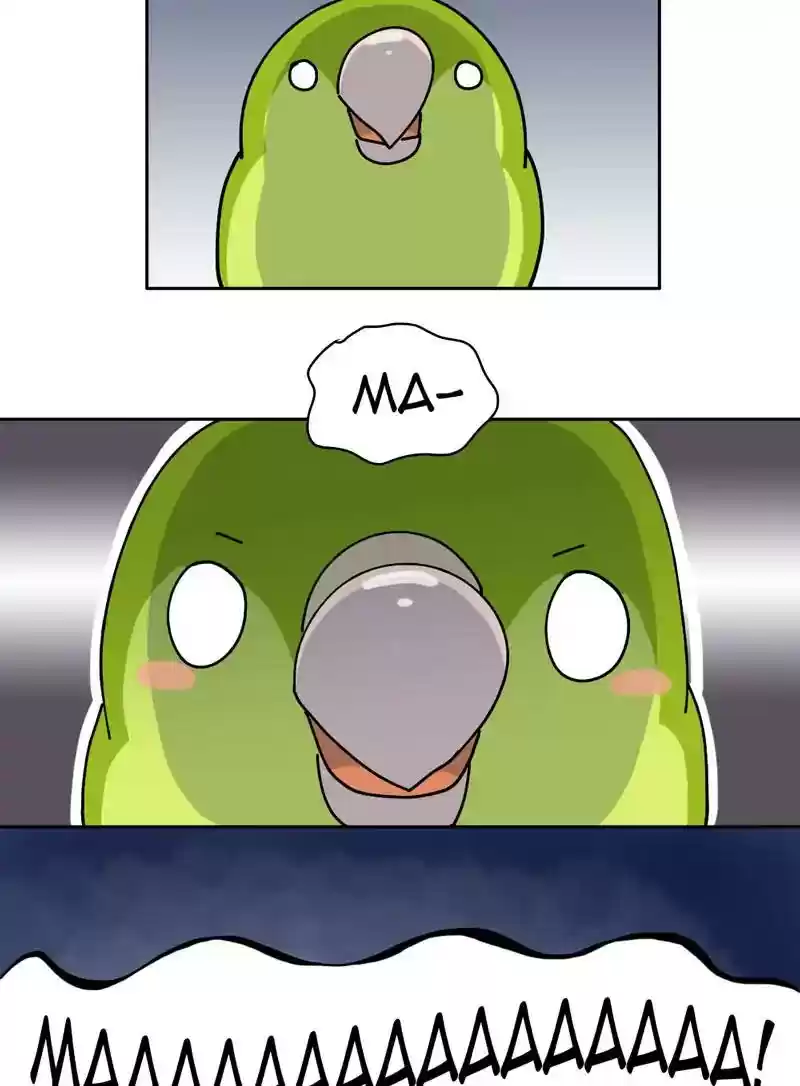 A Budgie's Life Chapter 323: Ep.322: