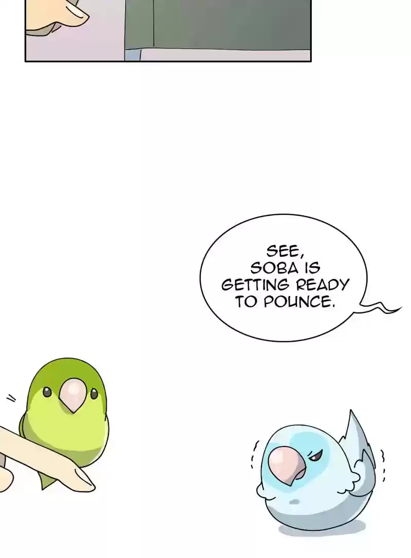A Budgie's Life Chapter 323: Ep.322: