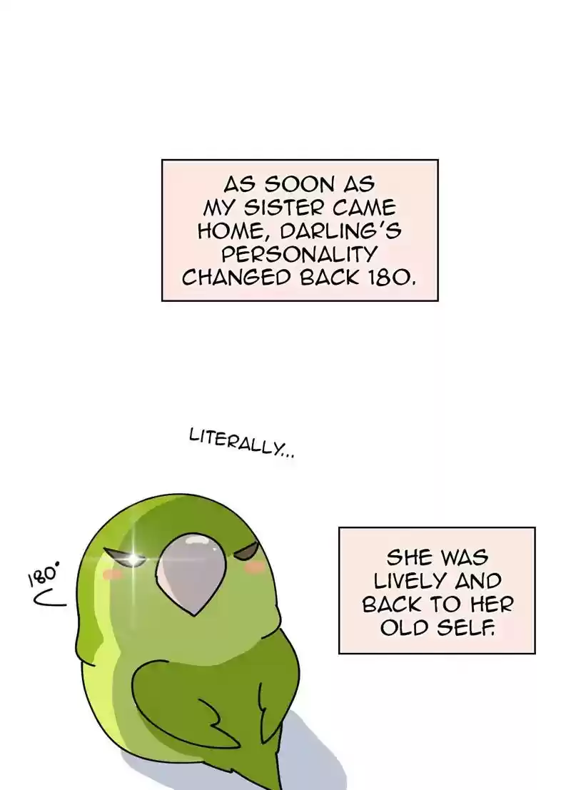 A Budgie's Life Chapter 323: Ep.322: