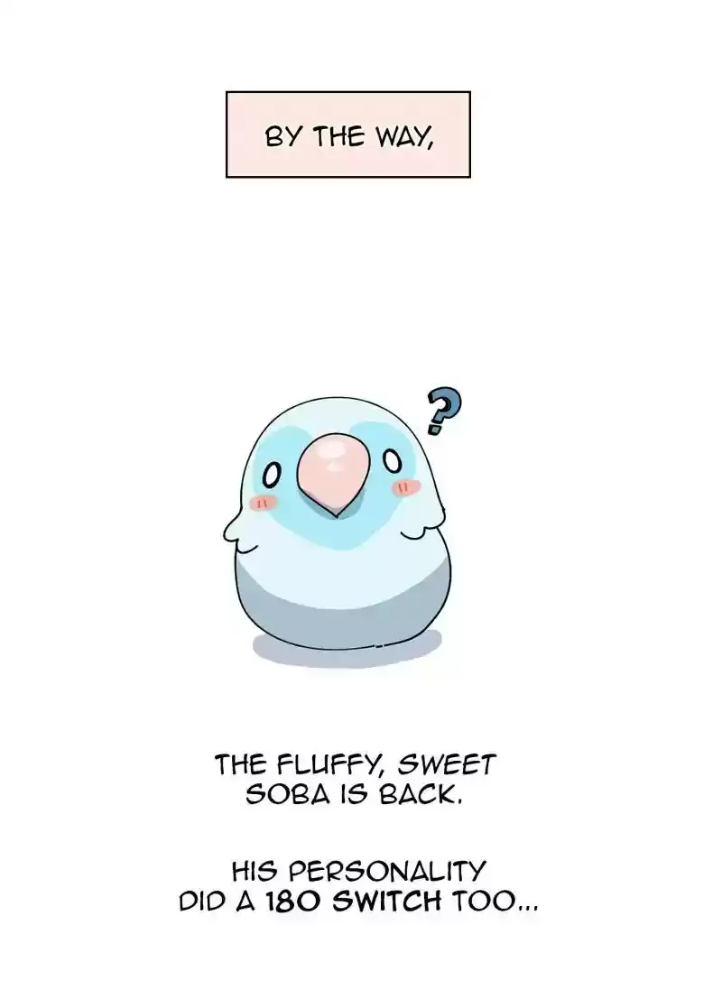 A Budgie's Life Chapter 323: Ep.322: