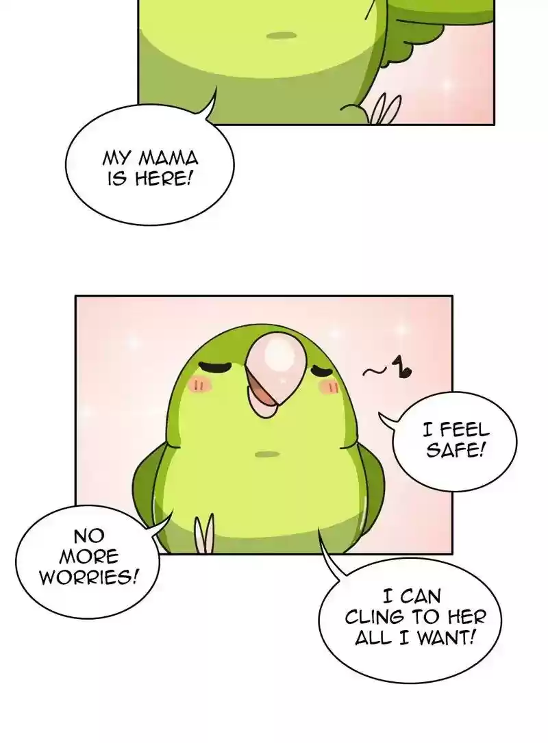 A Budgie's Life Chapter 324: Ep.323: