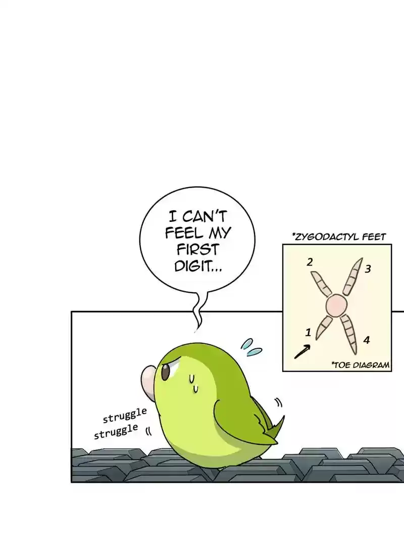 A Budgie's Life Chapter 325: Ep.324: