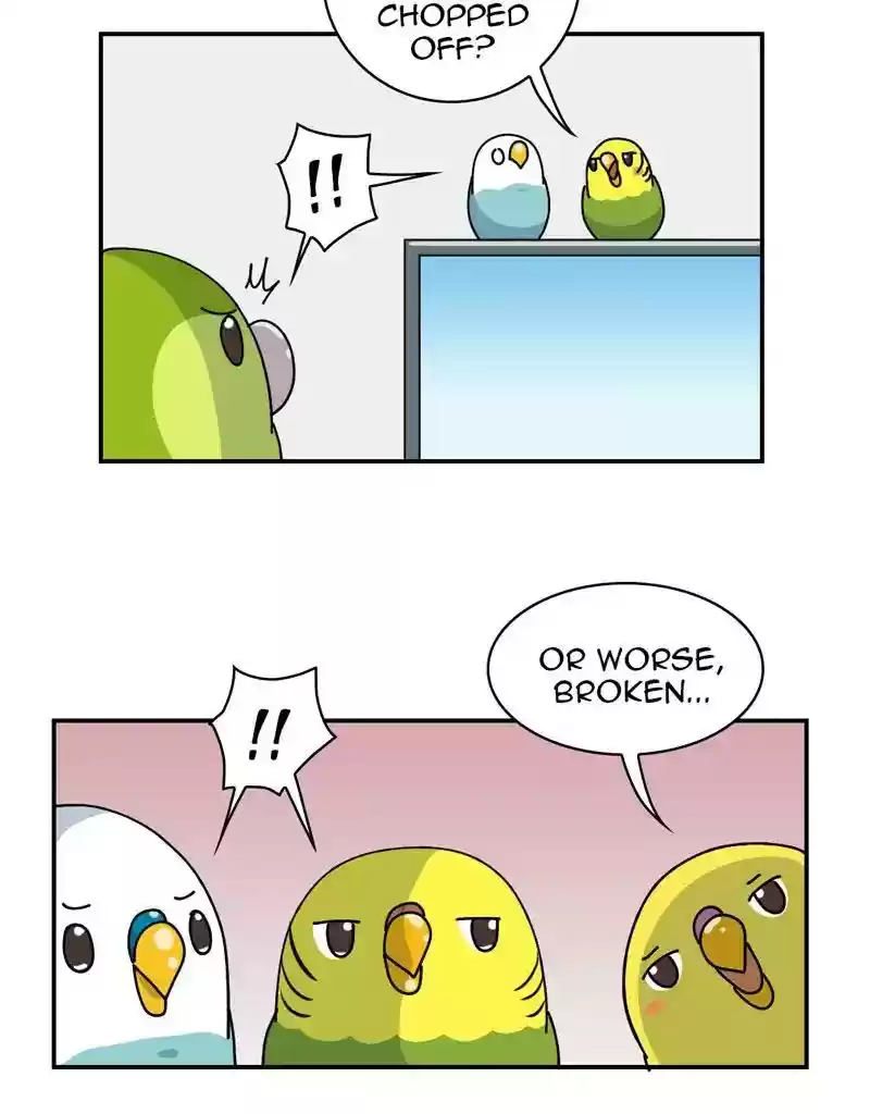 A Budgie's Life Chapter 326: Ep.325: