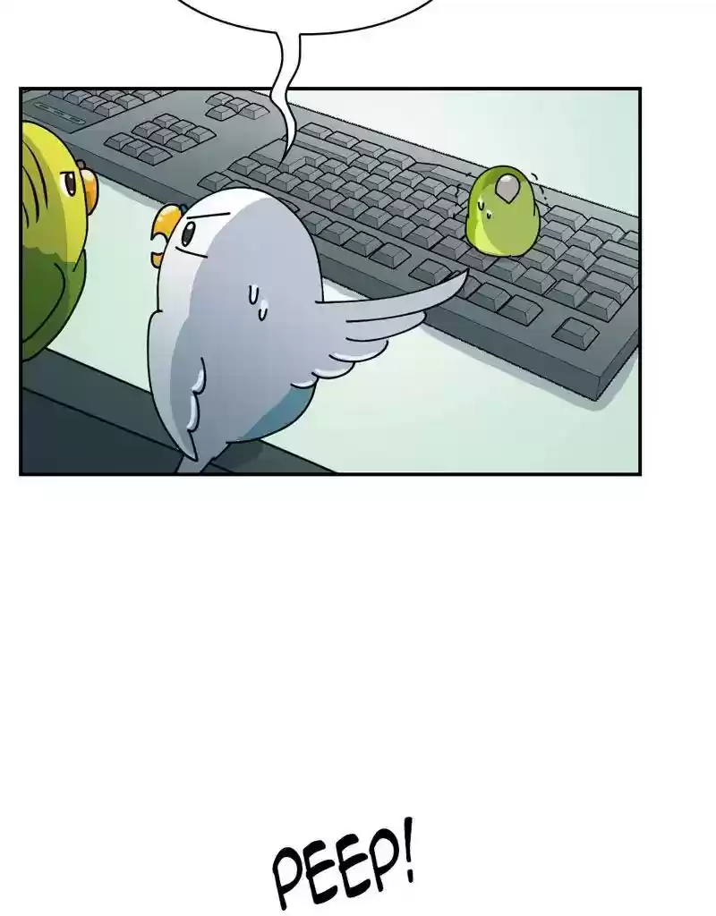 A Budgie's Life Chapter 326: Ep.325: