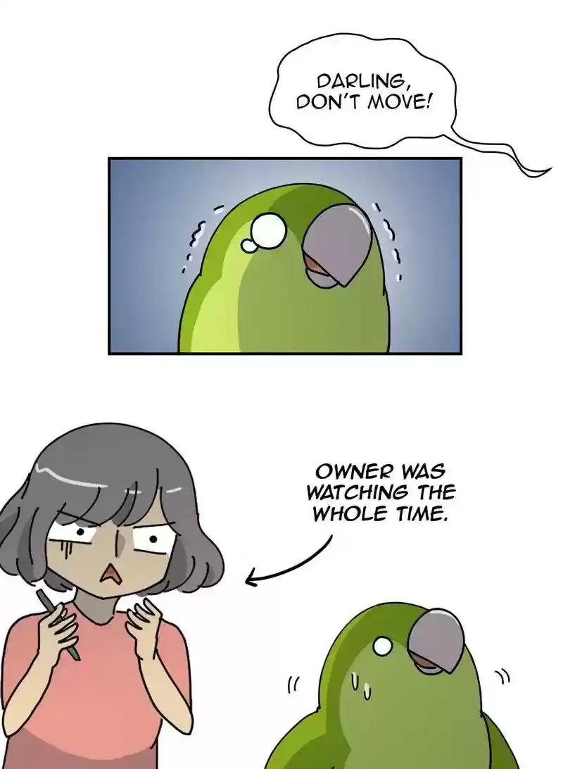 A Budgie's Life Chapter 326: Ep.325: