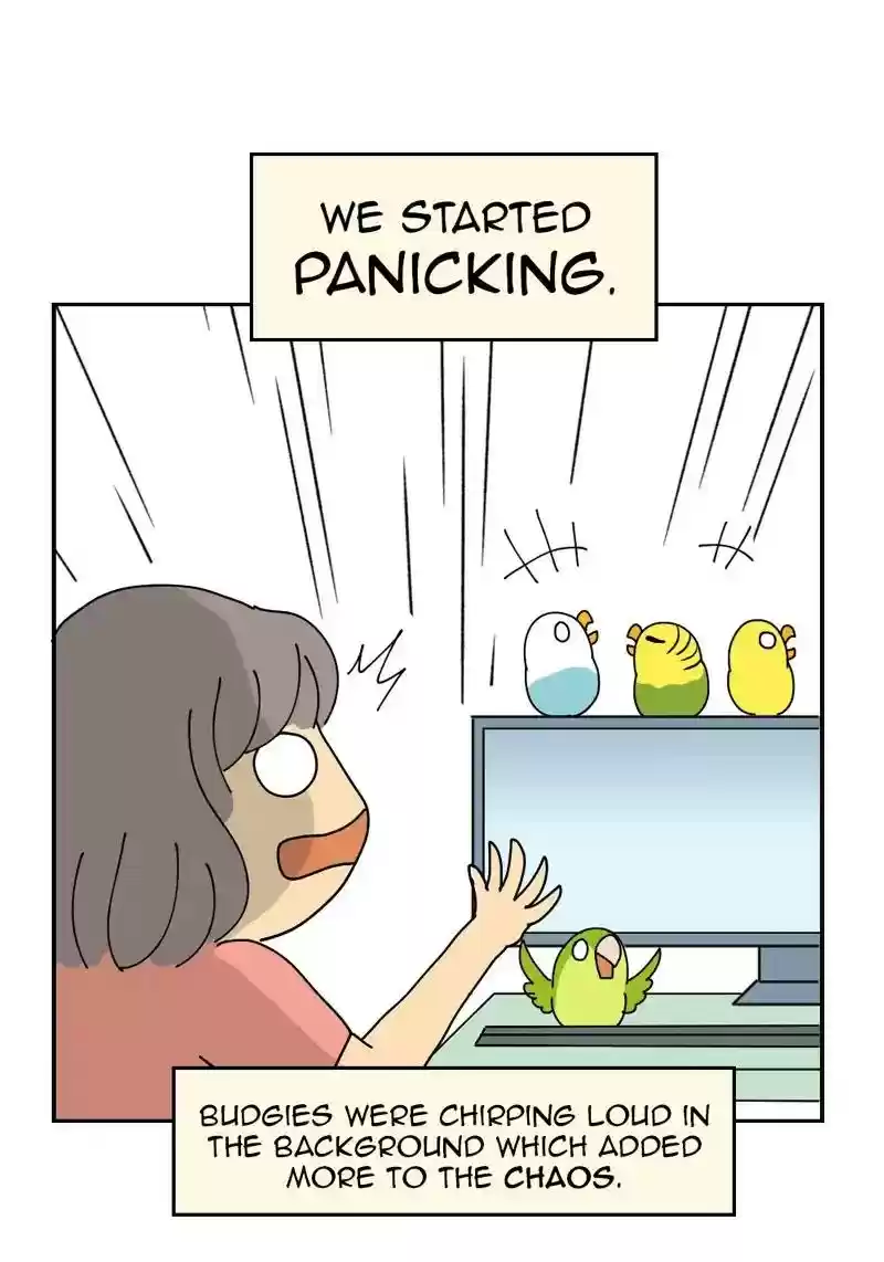 A Budgie's Life Chapter 326: Ep.325: