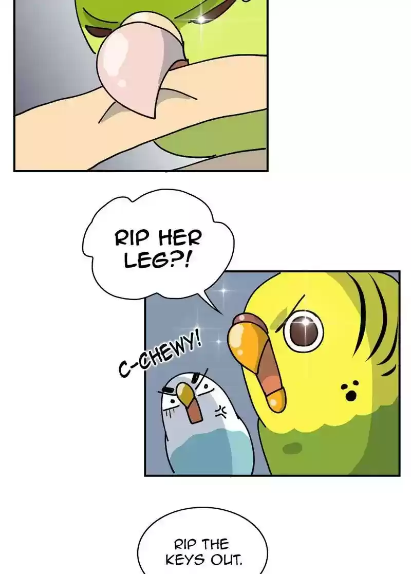 A Budgie's Life Chapter 326: Ep.325: