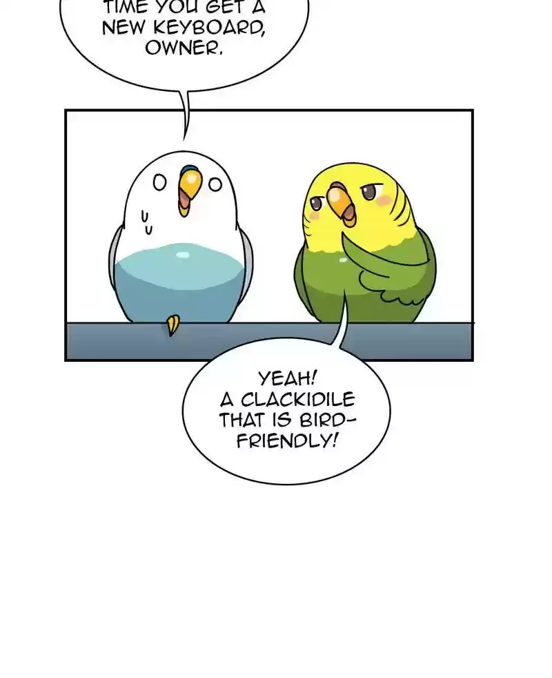 A Budgie's Life Chapter 326: Ep.325: