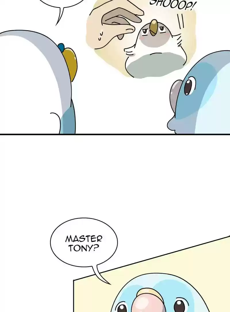 A Budgie's Life Chapter 327: Ep.326: