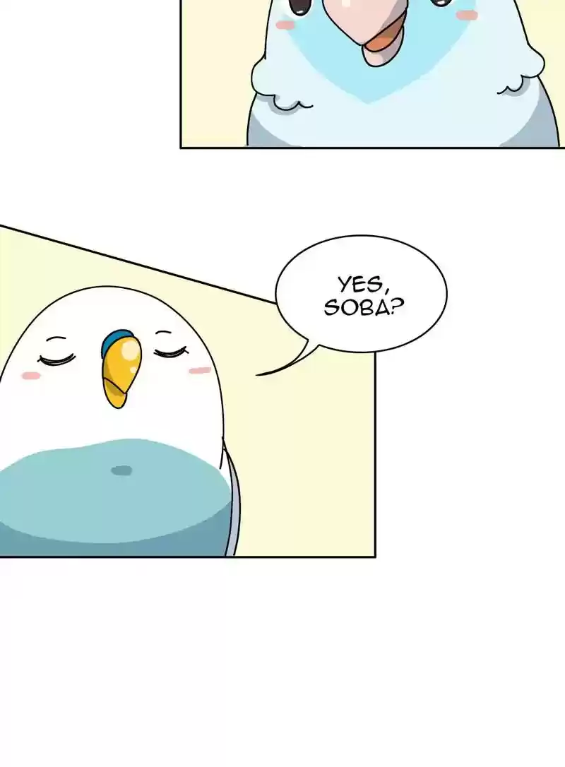 A Budgie's Life Chapter 327: Ep.326: