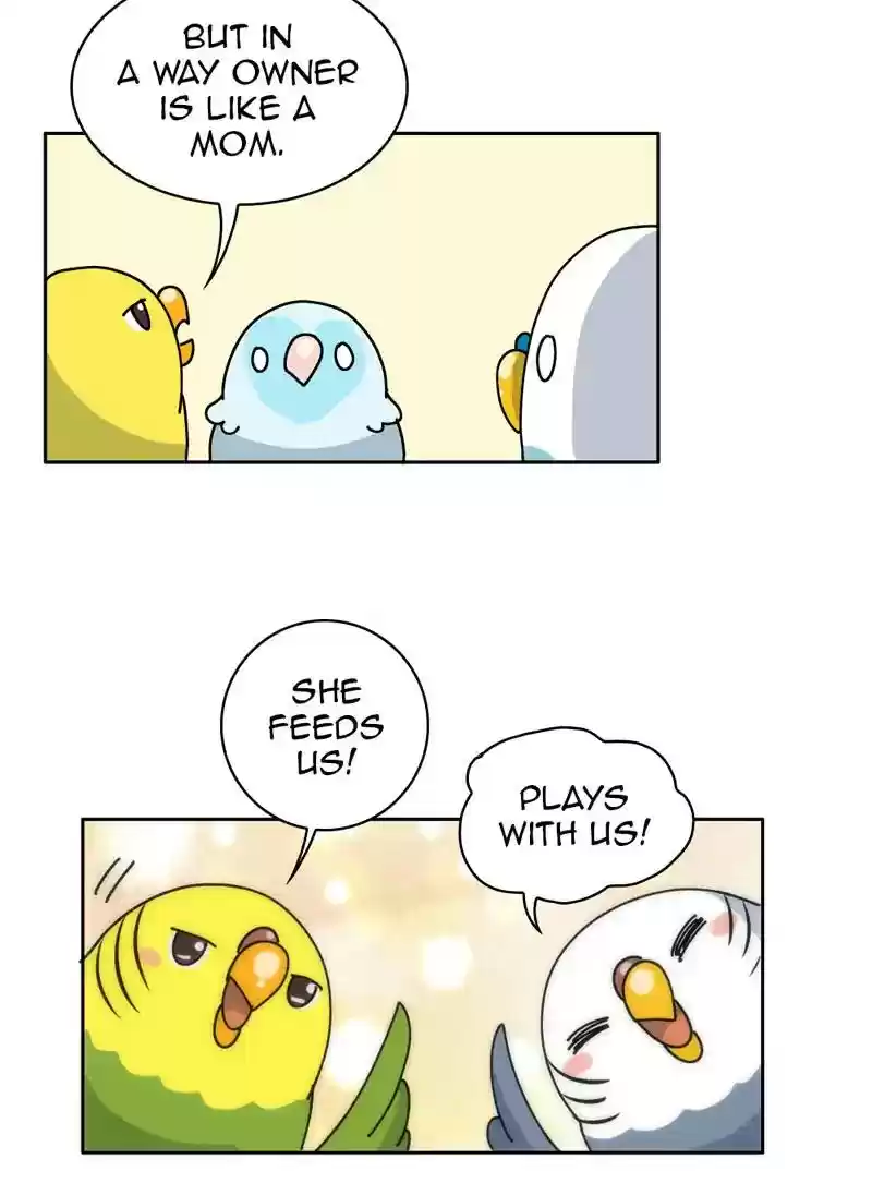 A Budgie's Life Chapter 327: Ep.326: