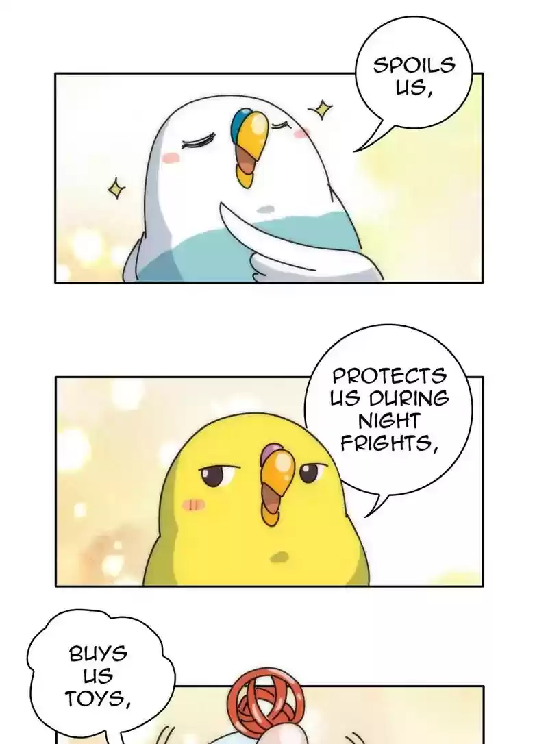A Budgie's Life Chapter 327: Ep.326: