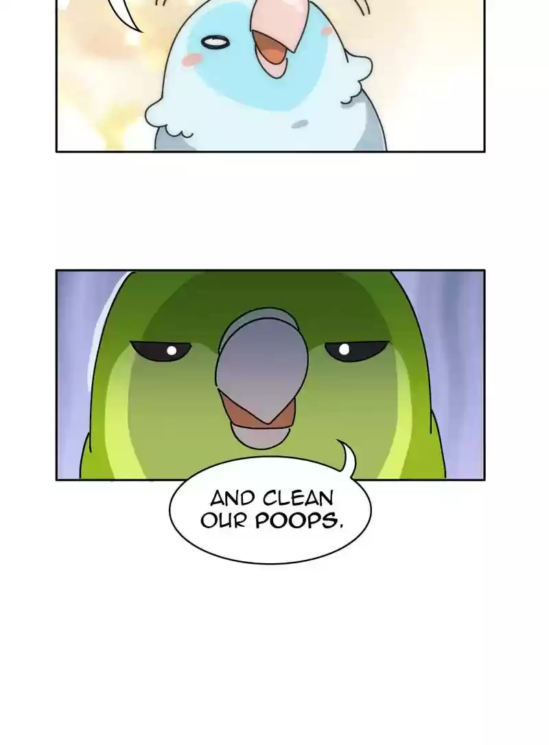 A Budgie's Life Chapter 327: Ep.326: