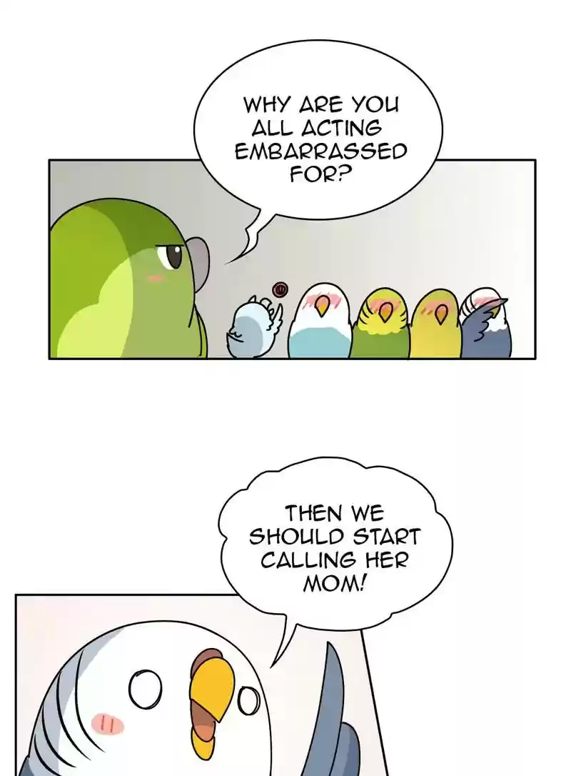 A Budgie's Life Chapter 327: Ep.326: