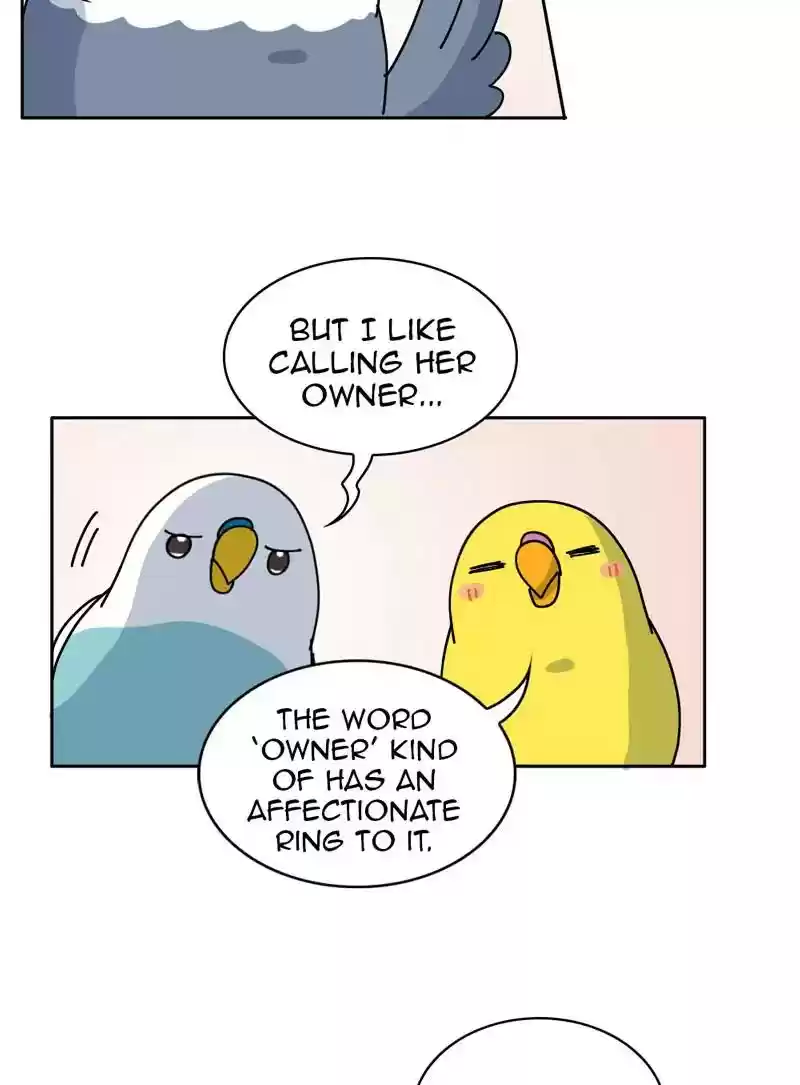 A Budgie's Life Chapter 327: Ep.326: