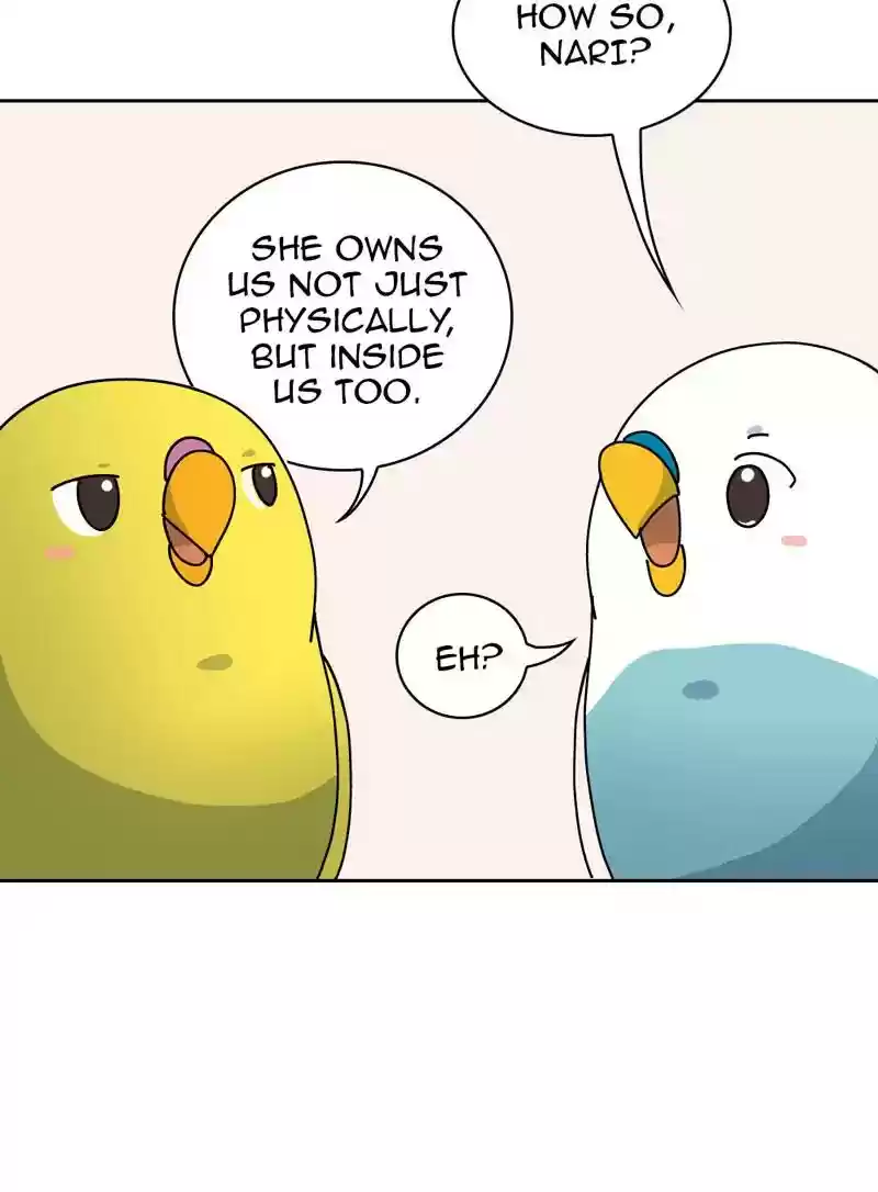 A Budgie's Life Chapter 327: Ep.326: