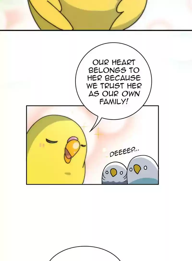 A Budgie's Life Chapter 327: Ep.326: