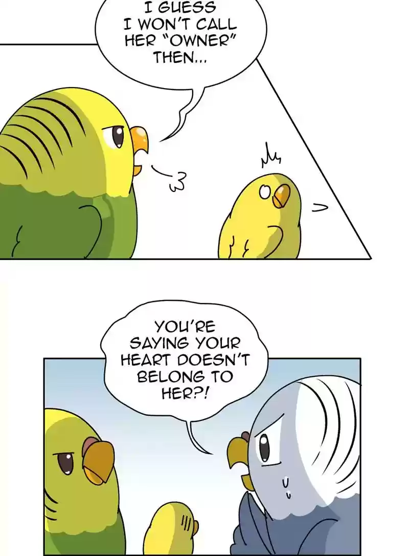 A Budgie's Life Chapter 327: Ep.326: