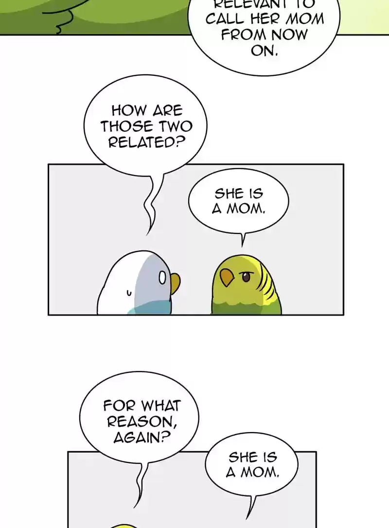 A Budgie's Life Chapter 327: Ep.326: