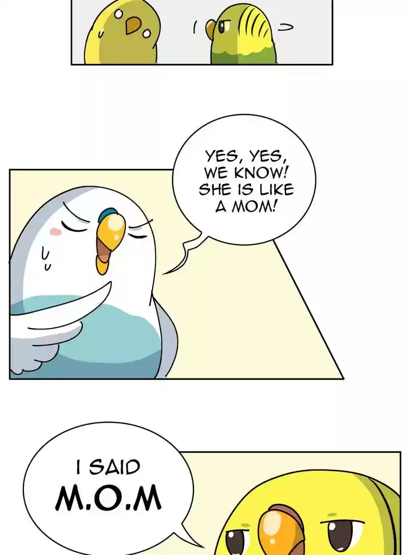 A Budgie's Life Chapter 327: Ep.326: