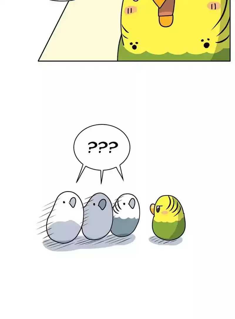A Budgie's Life Chapter 327: Ep.326: