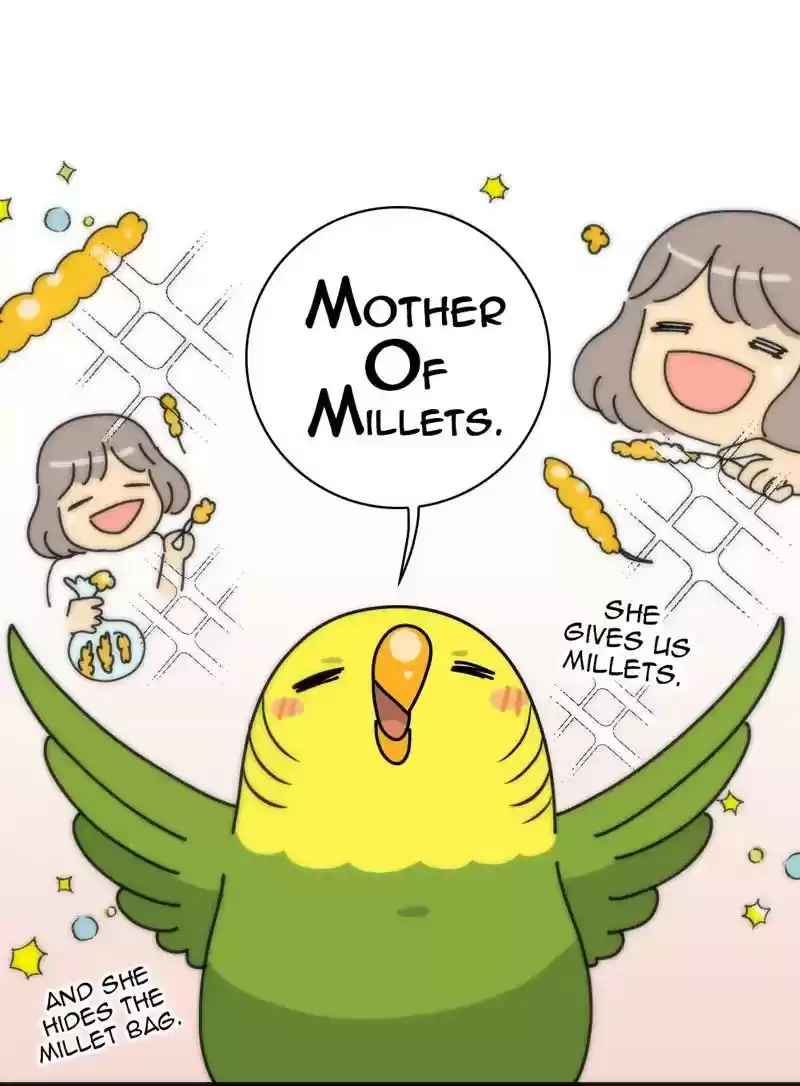 A Budgie's Life Chapter 327: Ep.326: