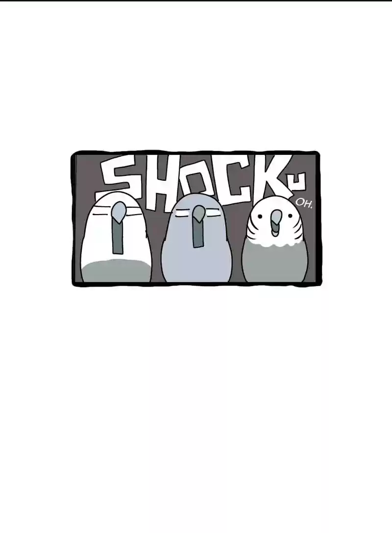 A Budgie's Life Chapter 327: Ep.326: