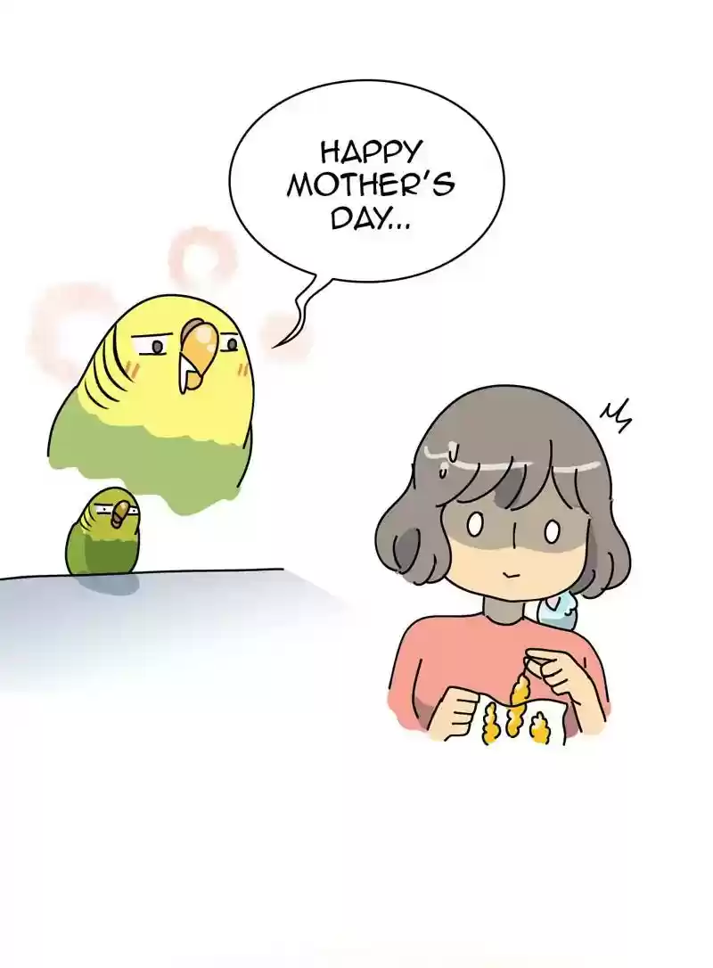 A Budgie's Life Chapter 327: Ep.326: