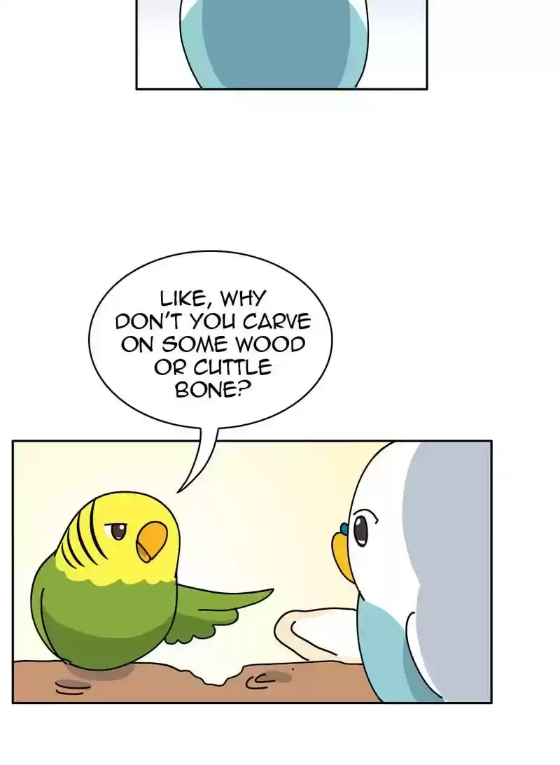 A Budgie's Life Chapter 328: Ep.327: