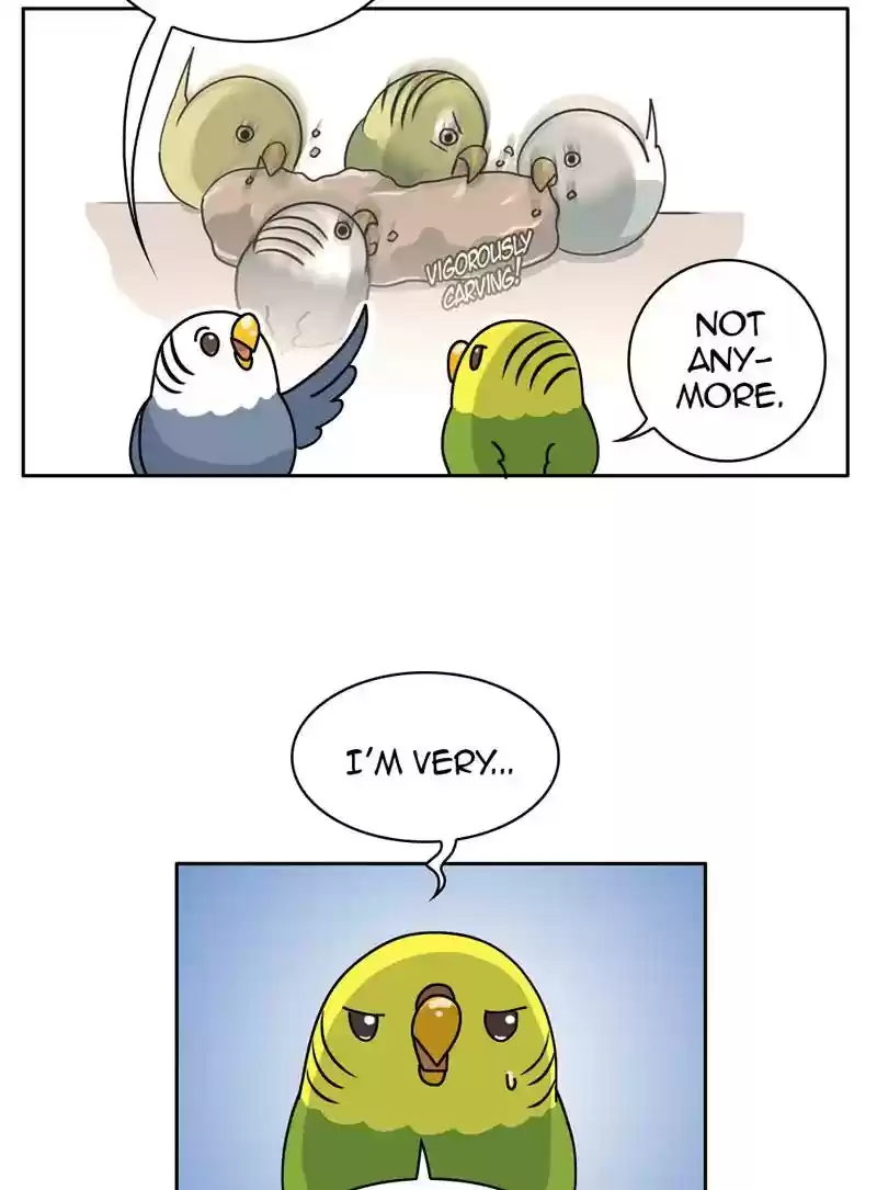 A Budgie's Life Chapter 328: Ep.327: