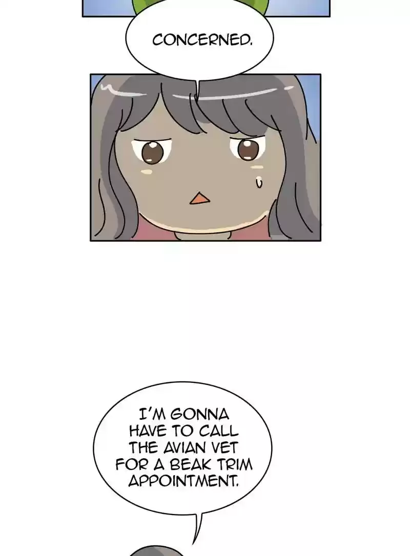 A Budgie's Life Chapter 328: Ep.327: