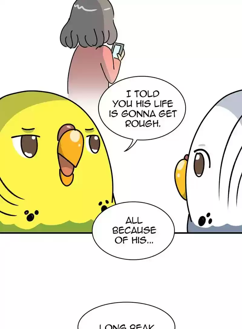 A Budgie's Life Chapter 328: Ep.327: