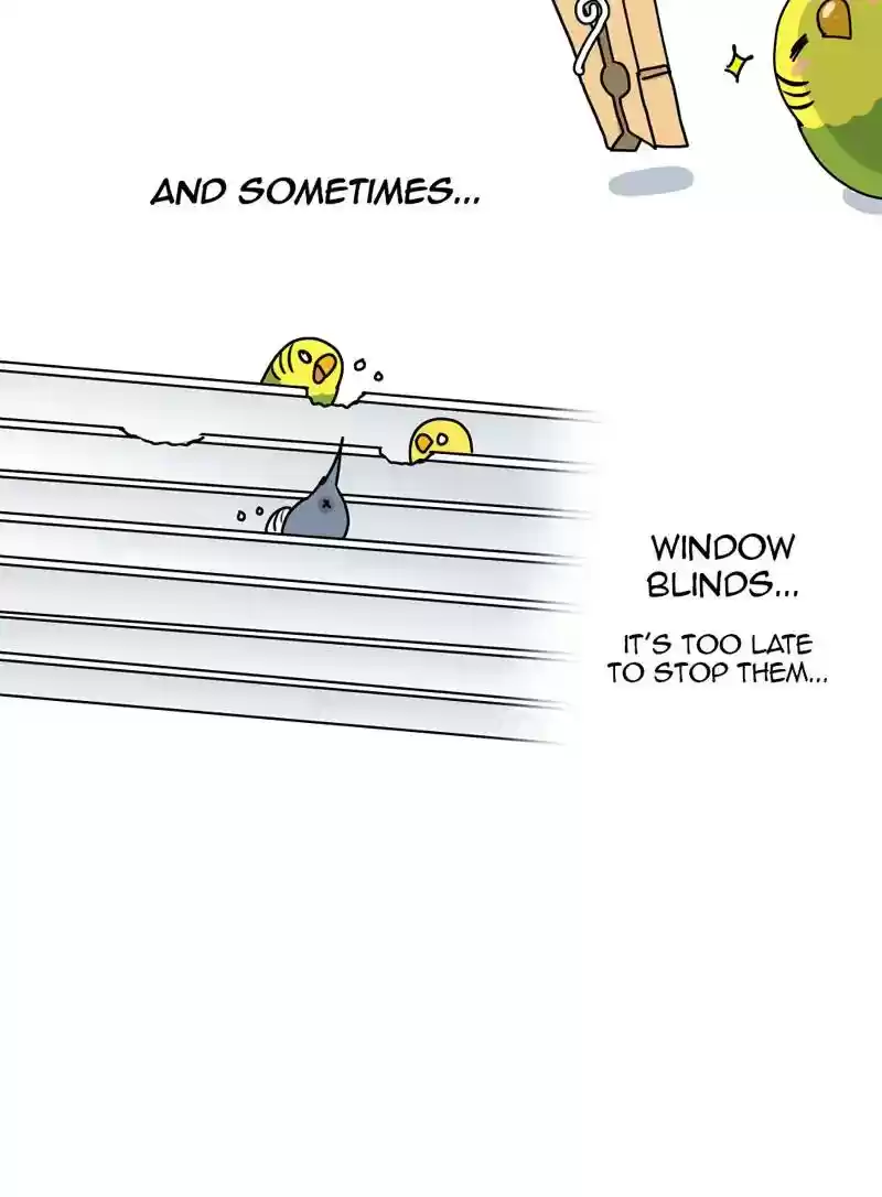 A Budgie's Life Chapter 328: Ep.327: