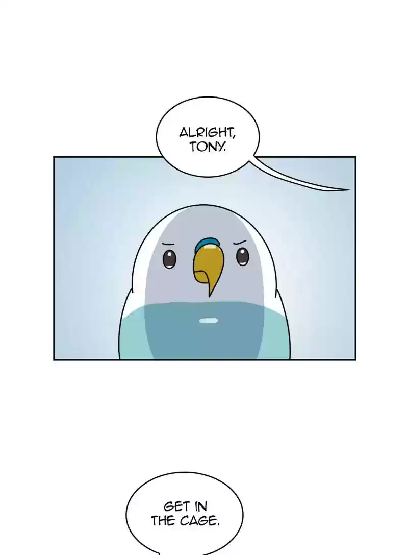 A Budgie's Life Chapter 329: Ep.328: