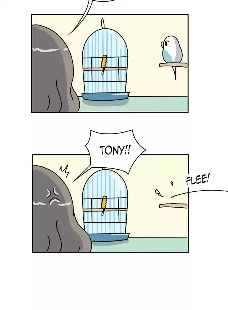 A Budgie's Life Chapter 329: Ep.328:
