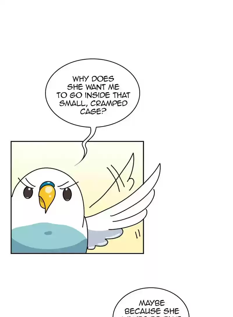 A Budgie's Life Chapter 329: Ep.328: