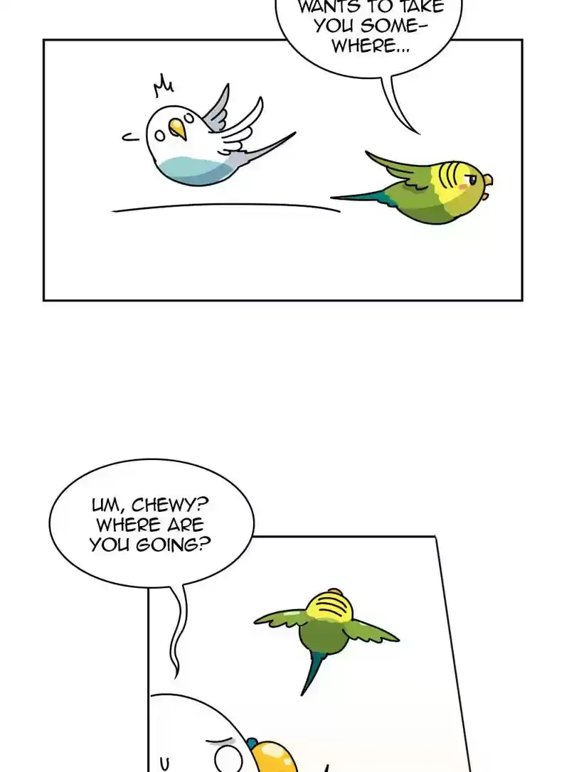 A Budgie's Life Chapter 329: Ep.328: