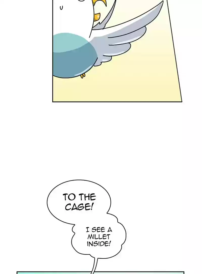 A Budgie's Life Chapter 329: Ep.328: