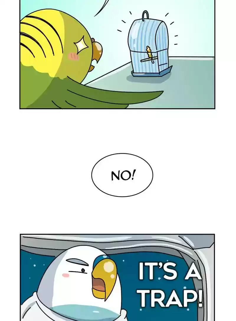 A Budgie's Life Chapter 329: Ep.328: